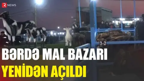 Bərdə Mal Bazarı yenidən açıldı - RTV